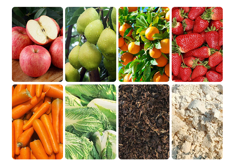 帶式水果壓榨生產(chǎn)線 帶式水果壓榨生產(chǎn)線